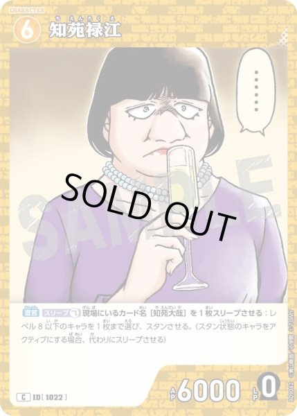 画像1: 知苑禄江【C】《黄》［1022]【CT-P09】 (1)